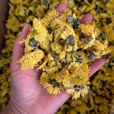 婺源皇菊批发舜王中药材大货现货源头厂家散装婺源皇菊大量代发图3