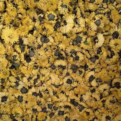 婺源皇菊批发舜王中药材大货现货源头厂家散装婺源皇菊大量代发图4