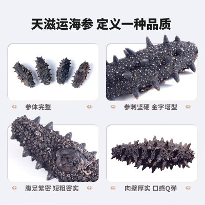 【13倍泡发】高泡发辽刺参大连海参干货50g无激素0添加高营养图4