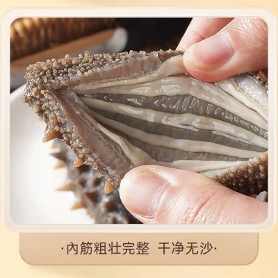 【鲜食海参】口感Q弹大连海参辽刺参开袋即食500g单个独立包装图3
