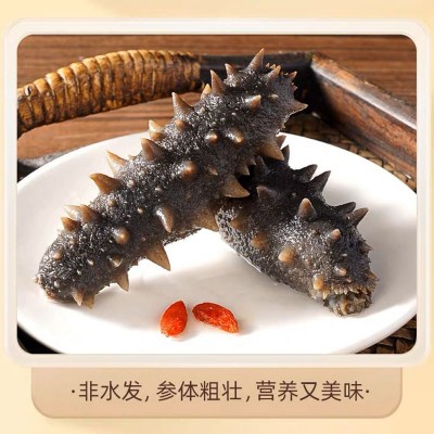 【鲜食海参】口感Q弹大连海参辽刺参开袋即食500g单个独立包装图2