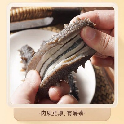 【鲜食海参】口感Q弹大连海参辽刺参开袋即食500g单个独立包装图5