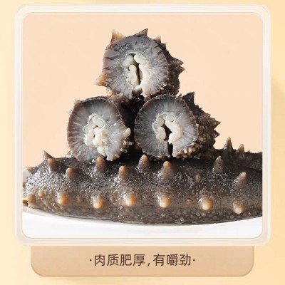 【鲜食海参】口感Q弹大连海参辽刺参开袋即食500g单个独立包装图4
