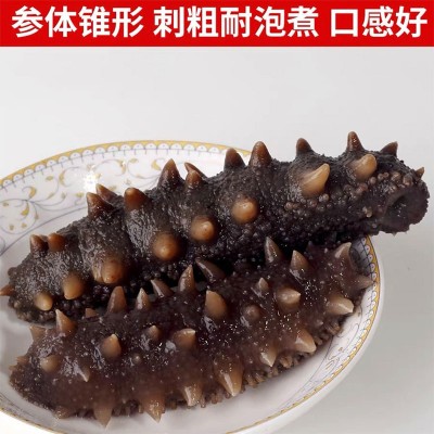 【11倍泡发】大连淡干海参干货50g高复购性价比0添加无激素高营养图2