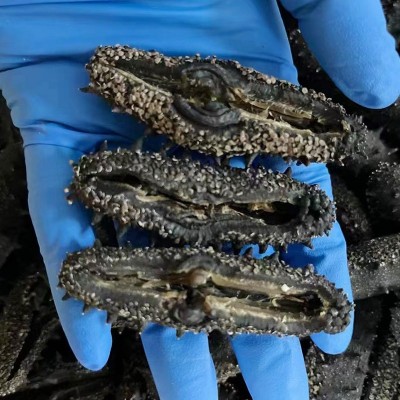 大连海参干货散装纯淡干批发散装工厂厂家50g一件代发非即食海参图3