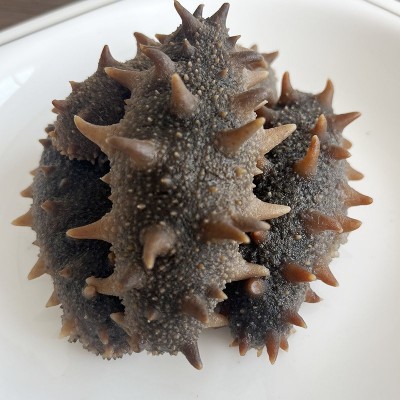 批发大连即食海参刺参即食海参鲜食批发冷冻海鲜辽参礼盒非干货图4