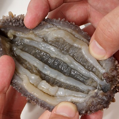 神鹿岛9A大连即食海参1件代发 顺丰发货图4