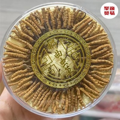 西藏产地那曲冬虫夏草纯肉节无断草传统滋补品全规格冻干草批发图4