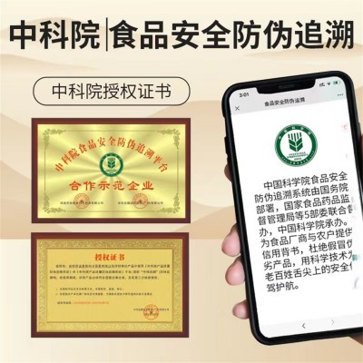 新会陈皮干 江门正宗特产老陈皮保健货源 养生药食同源滋补品批发图3