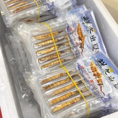 2023新鲜冬虫夏草虫草正品新鲜虫草大量批发冷链运输鲜草批发图4