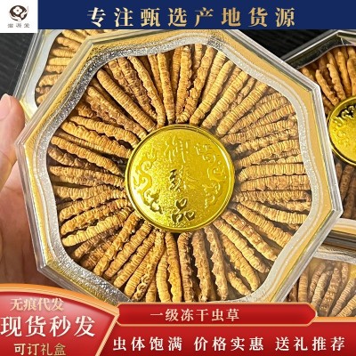 东阳光人工养殖一级正品足干虫体饱满整草老人传统滋补冻干冬虫草图4