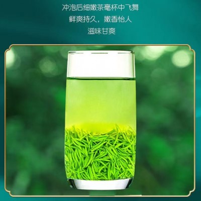 【两斤】正宗信阳毛尖绿茶（头采嫩小芽毛尖1000g）茶叶信阳绿茶图2