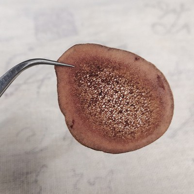 东北特产吉林原枝鹿茸片鹿茸血片会议营销礼品 鹿茸片批发礼盒装图3