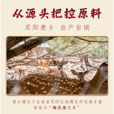 【正品】鹿额娘鹿心丸250g瓶装滋补膏男女调理鹿心丸直播一件代发图2