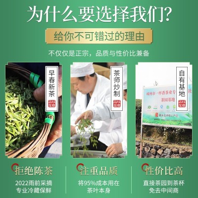 雨前龙井茶2023新茶叶散装浙江高山绿茶厂家批发250g袋装一件代发图2
