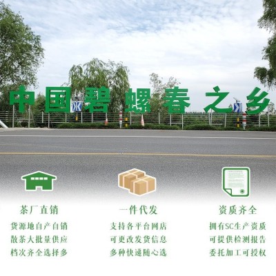 明前碧螺春新茶 高山绿茶散装批发价格 小镇茶图2