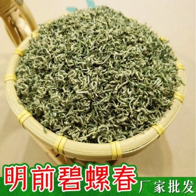 明前碧螺春新茶 高山绿茶散装批发价格 小镇茶