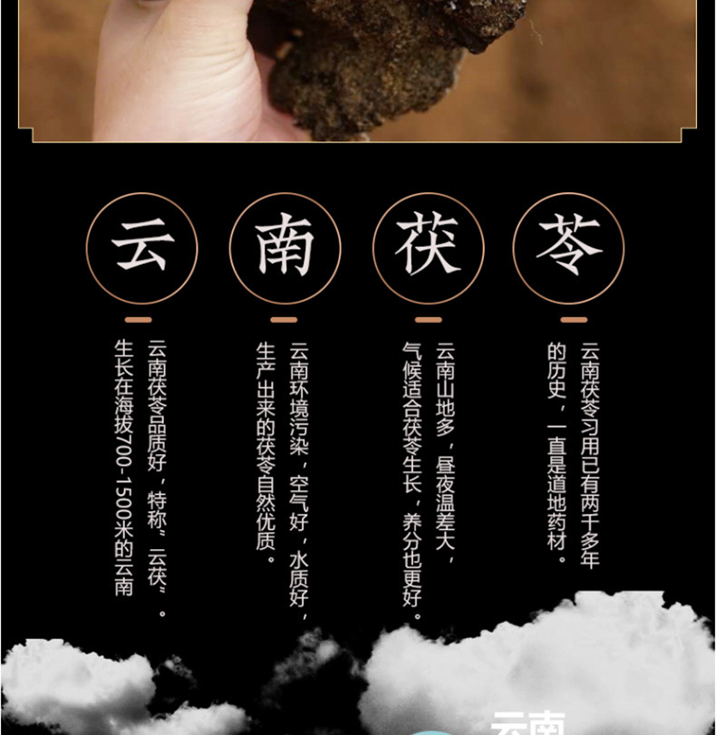 茯苓_08.jpg