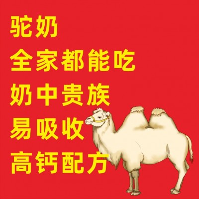 秀臻堂驼奶驼乳钙片儿童青少年中老年成人男女高钙牛乳批发代发图2