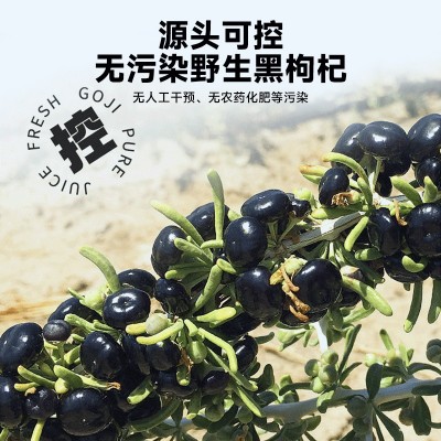古井健康宁夏黑枸杞原浆天然花青素鲜榨便携即食源头工厂一件代发图3