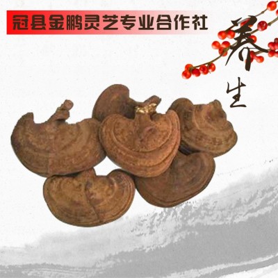 赤灵芝 带孢子粉灵芝 灵芝片 免费 打粉切片图4