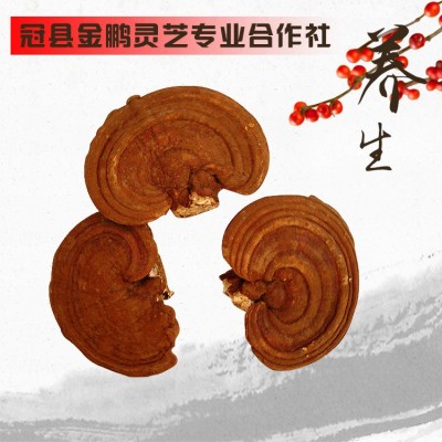 赤灵芝 带孢子粉灵芝 灵芝片 免费 打粉切片图2