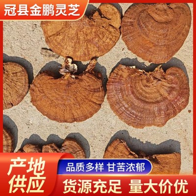 赤灵芝 灵芝整支 泡茶煲汤山东批发 基地生产发货 真材实料图3