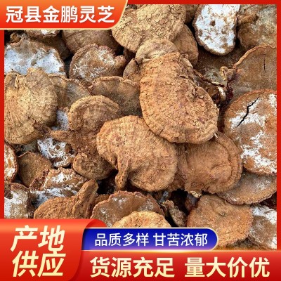 赤灵芝 灵芝整支 泡茶煲汤山东批发 基地生产发货 真材实料图2
