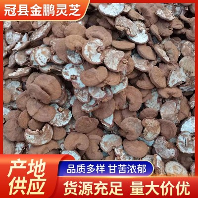 赤灵芝 灵芝整支 泡茶煲汤山东批发 基地生产发货 真材实料图4