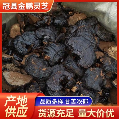 黑灵芝 厂家供应 黑灵芝批发灵芝中药材黑灵芝个大泡酒 山东发货图3