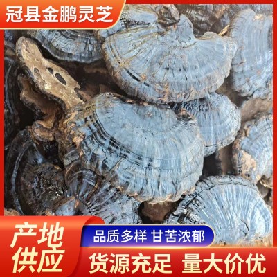 黑灵芝 厂家供应 黑灵芝批发灵芝中药材黑灵芝个大泡酒 山东发货图4
