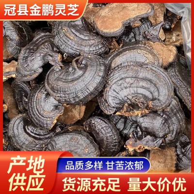 黑灵芝 山东厂家供应灵芝整枝黑灵芝切片灵芝茶现货批发图4