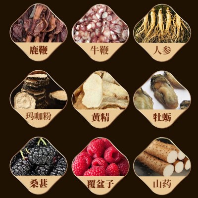 南京同仁堂生物科技人参鹿鞭丸黄精牡蛎桑葚山药官方正品批发代发图3