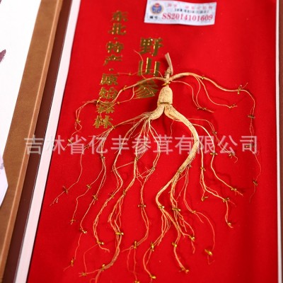 东北吉林长白山鲜人参皮质即食山参批发中老年人礼品参礼盒套装图3