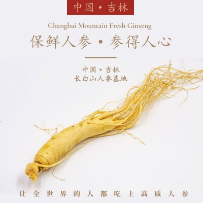 长白山新鲜人参批发厂家直销东北土特产保鲜参煲汤火锅地摊泡酒参图3