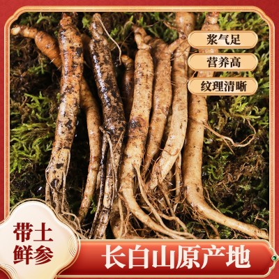 长白山人参现挖人参带土参批发一件代发厂家直销鲜人参图3