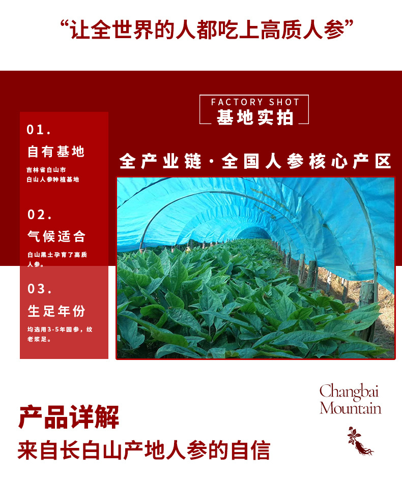 未标题-1_04.jpg