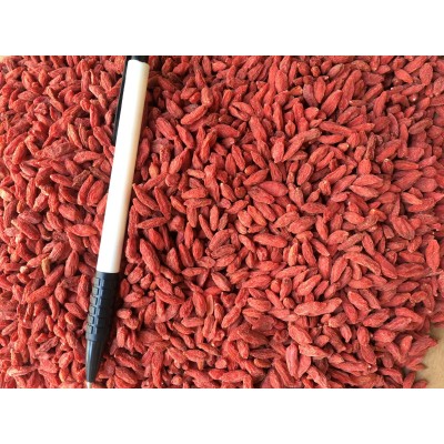 宁夏枸杞500g 干吃免洗枸杞食品 枸杞小颗粒散装厂家批发2023新货图3