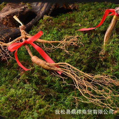 长白山新鲜现挖林下山参 移山参 东北老参带土林下参滋补佳品图4