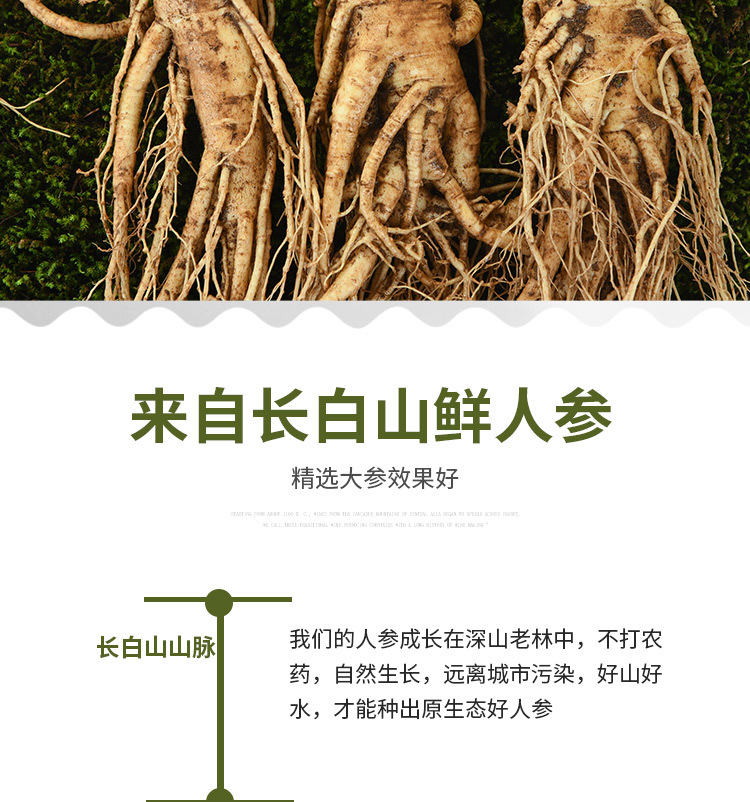 100克鲜人参详情页_02.jpg