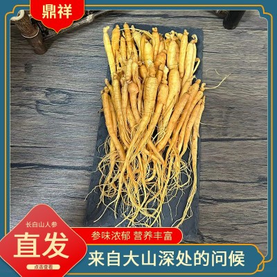 东北长白山人参整枝可泡酒熬汤散装参药材抚松批发林下参批发图4