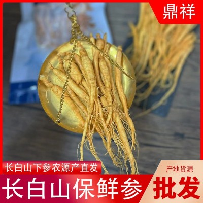 东北长白山人参整枝可泡酒熬汤散装参药材抚松批发林下参批发图2