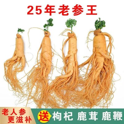 保鲜人参长白山人参泡酒参滋补养身泡酒煲汤袋装土特产厂家直发图2