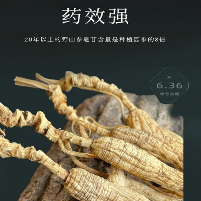 人参长白山野山参正宗东北人参生晒林下参22年国检一等品质礼盒装图2