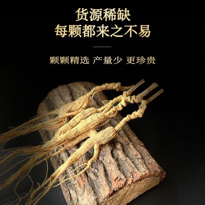 长白山林下参干货整支生晒20年散装野山人参林下籽产地批发礼盒装图2