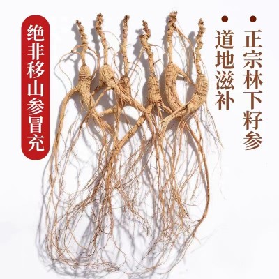 长白山林下参干货整支生晒20年散装野山人参林下籽产地批发礼盒装图5