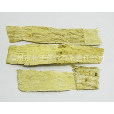 黄芪批发甘肃黄芪片 1.0-1.2黄芪斜片圆片 黄芪瓜子片北芪 供应图3