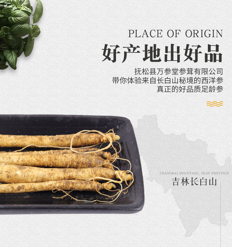 鲜参_04