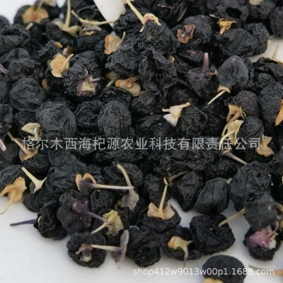 青海黑枸杞大果草原 沙漠戈壁滩 昆仑山里的黑枸杞花青素高规格全图3