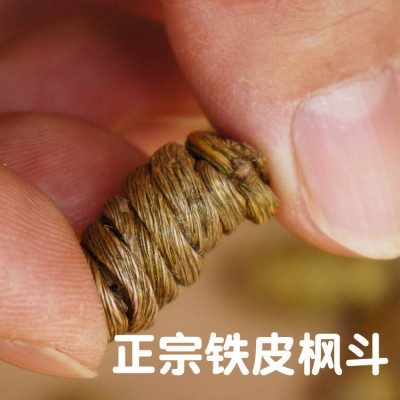 苗七 云南铁皮枫斗 铁皮石斛颗粒 广南铁皮石斛 枫斗 500克图3